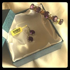 NWT..A beautiful bracelet and earrings set